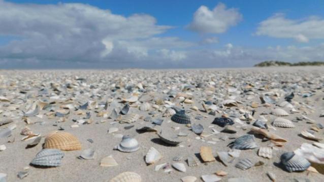 Rust Aan De Kust Villa Middelkerke Dış mekan fotoğraf
